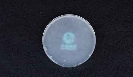 细菌纤维素制备方法详解