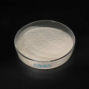 纳米纤维素干粉 TLP002